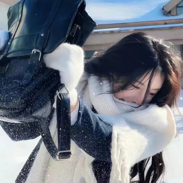 莫丽的朝圣